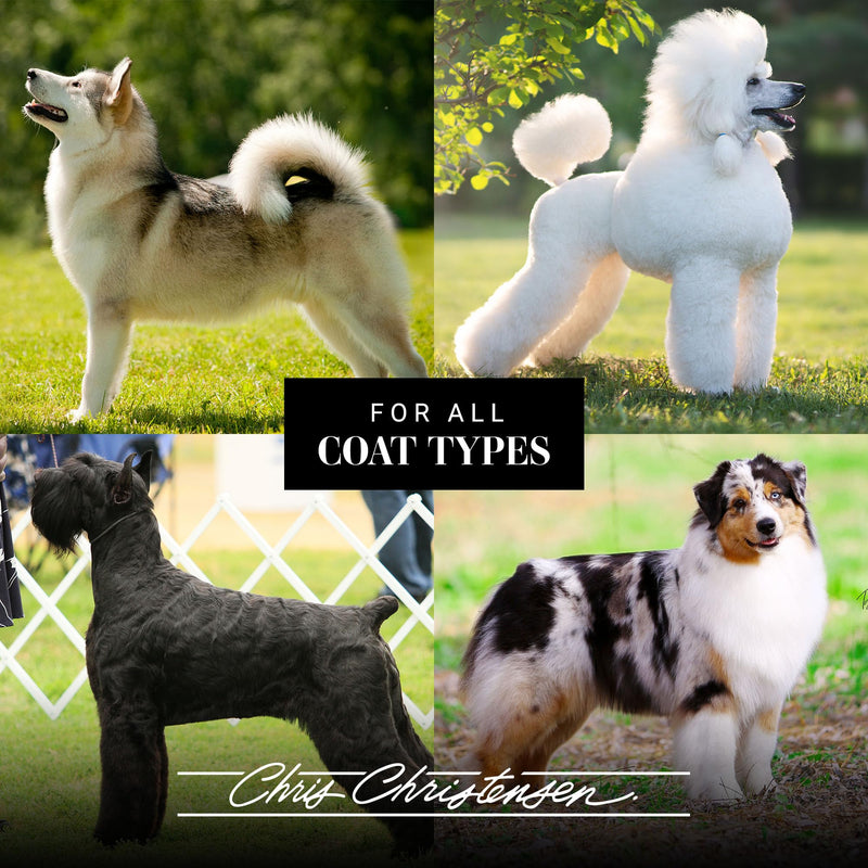 Chris Christensen Spectrum One Dog Shampoo, Coarse and Rough Coat, Groom Like a Professional, Maintain Crisp Texture, Will Not Dry Out Coat or Skin, Made in The USA, 16 oz 16 Ounce - PawsPlanet Australia