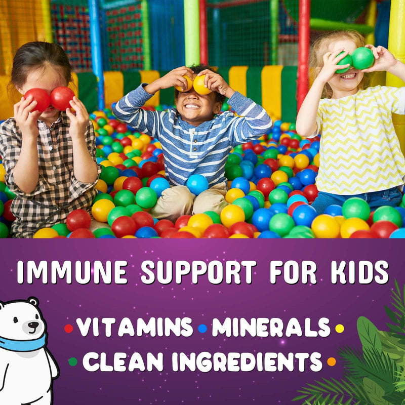 [Australia] - Immune Support Gummies for Kids & Toddler with Vitamin C, Zinc & Echinacea, Daily Childrens Immune Support Gummy Vitamins for Kids Ages 4 and Up, Vegan & Non-GMO, Natural Berry Flavor - 120 Gummies 120 Count (Pack of 1) 