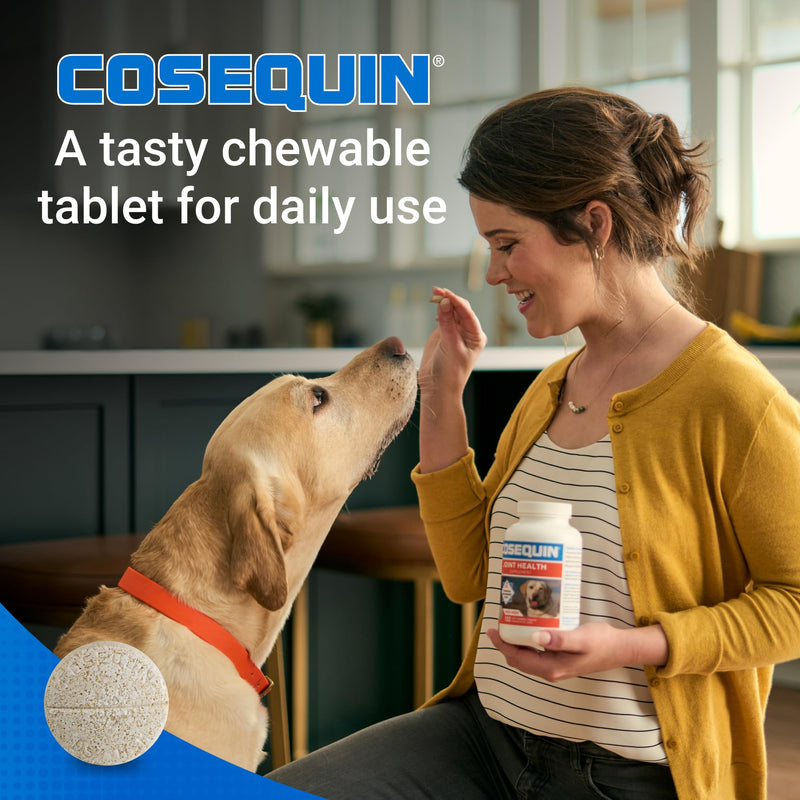 Nutramax Cosequin Joint Supplement for Dogs, Chewable Tablets, 132ct | Glucosamine + Chondroitin for Dogs with MSM, Supports Healthy Joints, All Breeds & Sizes, All Ages 132 count