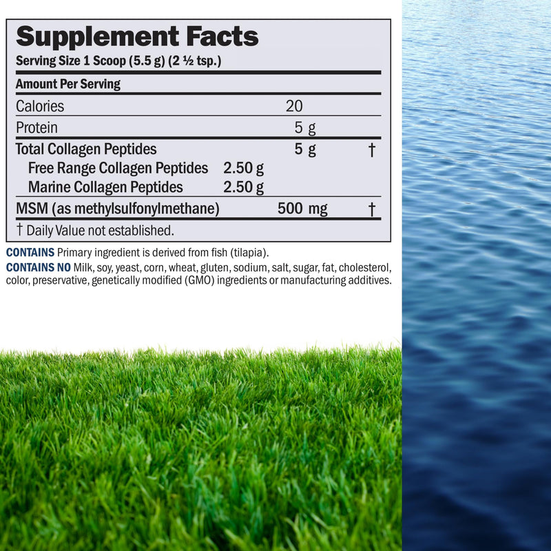 ANDREW LESSMAN ProCaps Marine Collagen Peptides with MSM Powder 30 Servings | Marine & Free Range Hydrolyzed Collagen Peptides, MSM, Collagen Protein Powder, Unflavored Formula 30 Servings (Pack of 1)