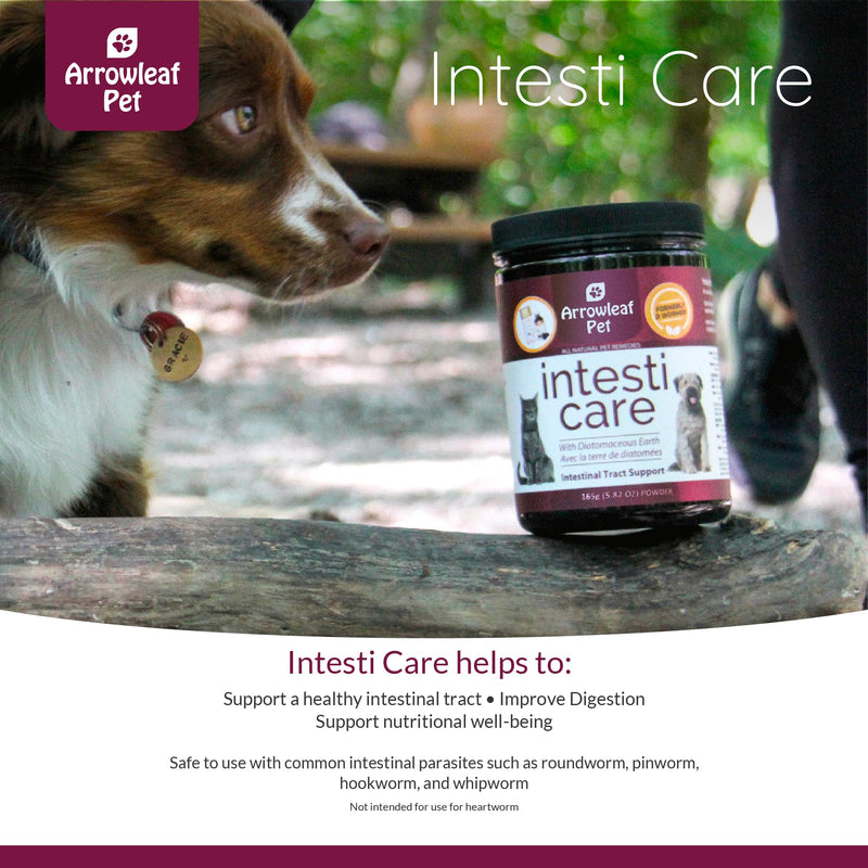 Arrowleaf Leaf Intesti Care by NaturPet Inc for Dogs & Cats | Natural Alternative to Chemical Wormers | Promotes a Healthy intestinal Tract | Contains Diatomaceous Earth | 165g - PawsPlanet Australia