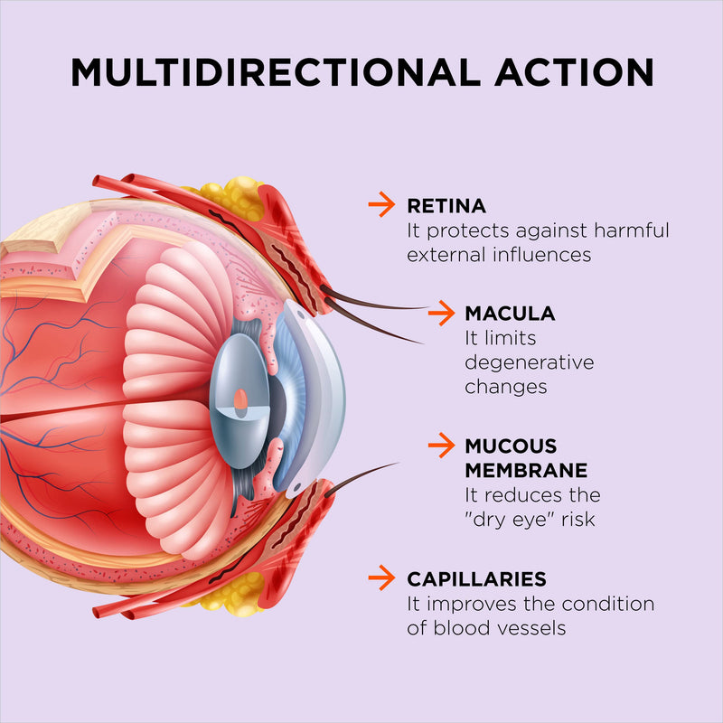 Excellent Vision with 1 Capsule/Day. Concentrated Composition. Multidirectional Action. Liquid Formula for Complete Absorption and Faster Effect. Laboratory Tested. (30 Servings) 30 count (Pack of 1)