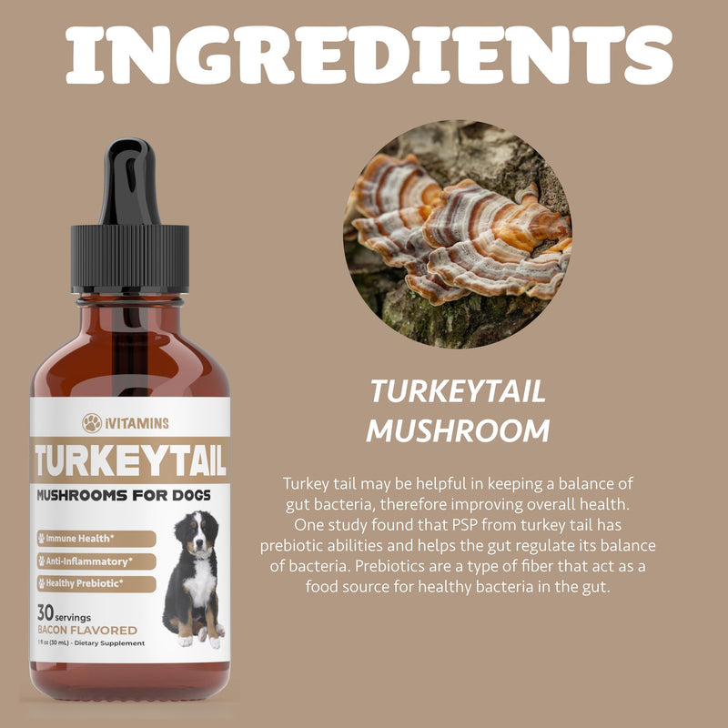 Turkey Tail Mushroom for Dogs | Helps to Boost The Immune System, is a Healthy Prebiotic, & Much More | Turkey Tail for Dogs | Mushrooms for Dogs | Dog Mushroom Supplements | 1 fl oz - PawsPlanet Australia