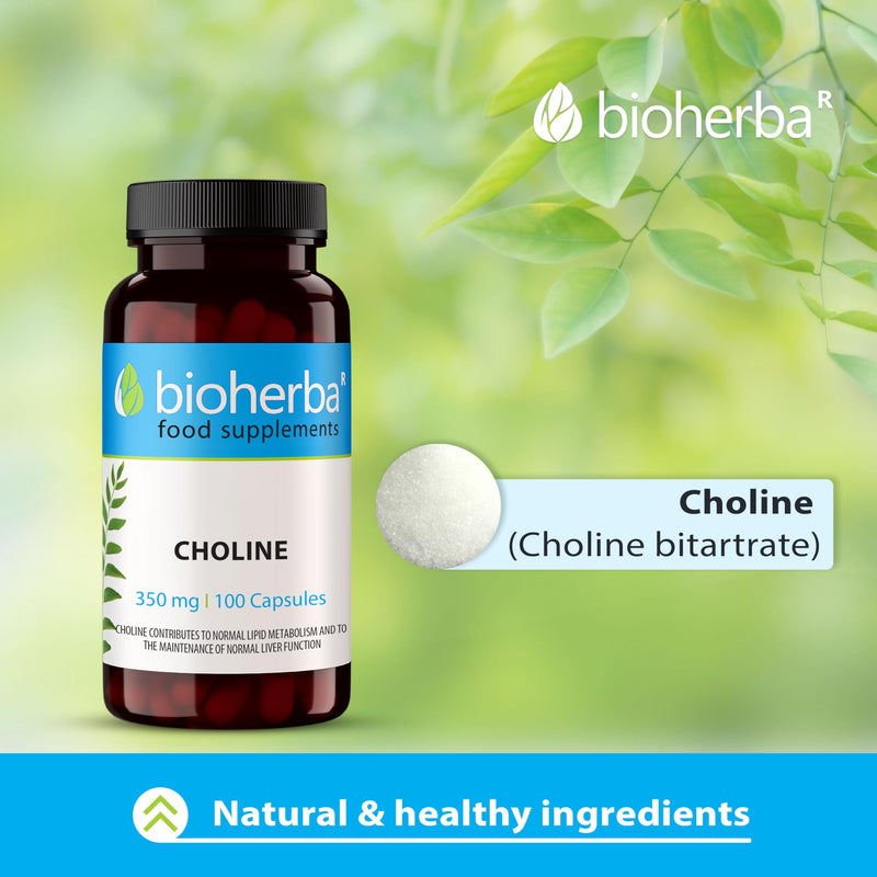 Choline 350 mg – 200 Capsules by BIOHERBA | Nutrient for Lipid Metabolism and Cellular Function 1 count (Pack of 200)