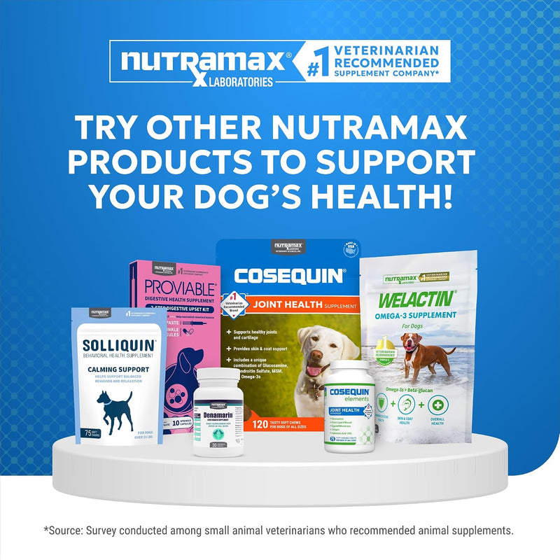 Nutramax Cosequin Standard Strength Joint Health Supplement for Dogs, with Glucosamine and MSM, 75 Chewable Tablets (Pack of 2) 75Count (Pack of 2)