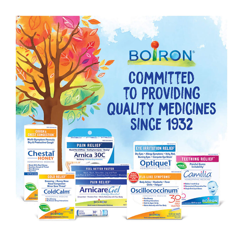 [Australia] - Boiron Arnica Montana 6c Homeopathic Medicine for Muscle Pain and Stiffness - Pack of 3 (240 Pellets) 80 Count (Pack of 3) 