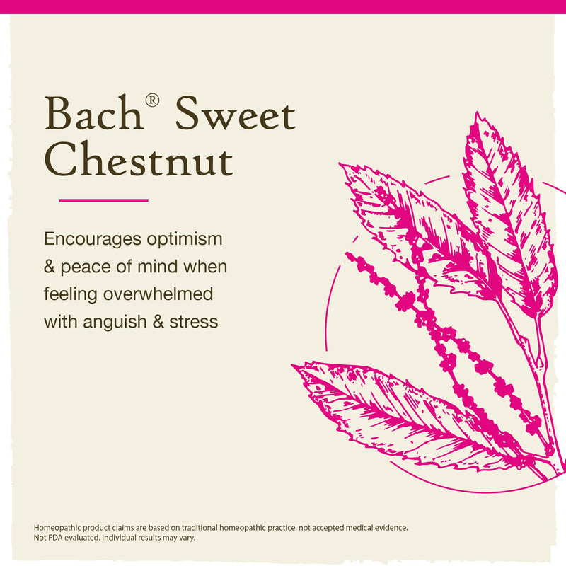 [Australia] - Bach Original Flower Remedies, Sweet Chestnut for Optimism (Non-Alcohol Formula), Natural Homeopathic Flower Essence, Holistic Wellness and Stress Relief, Vegan, 10mL Dropper 