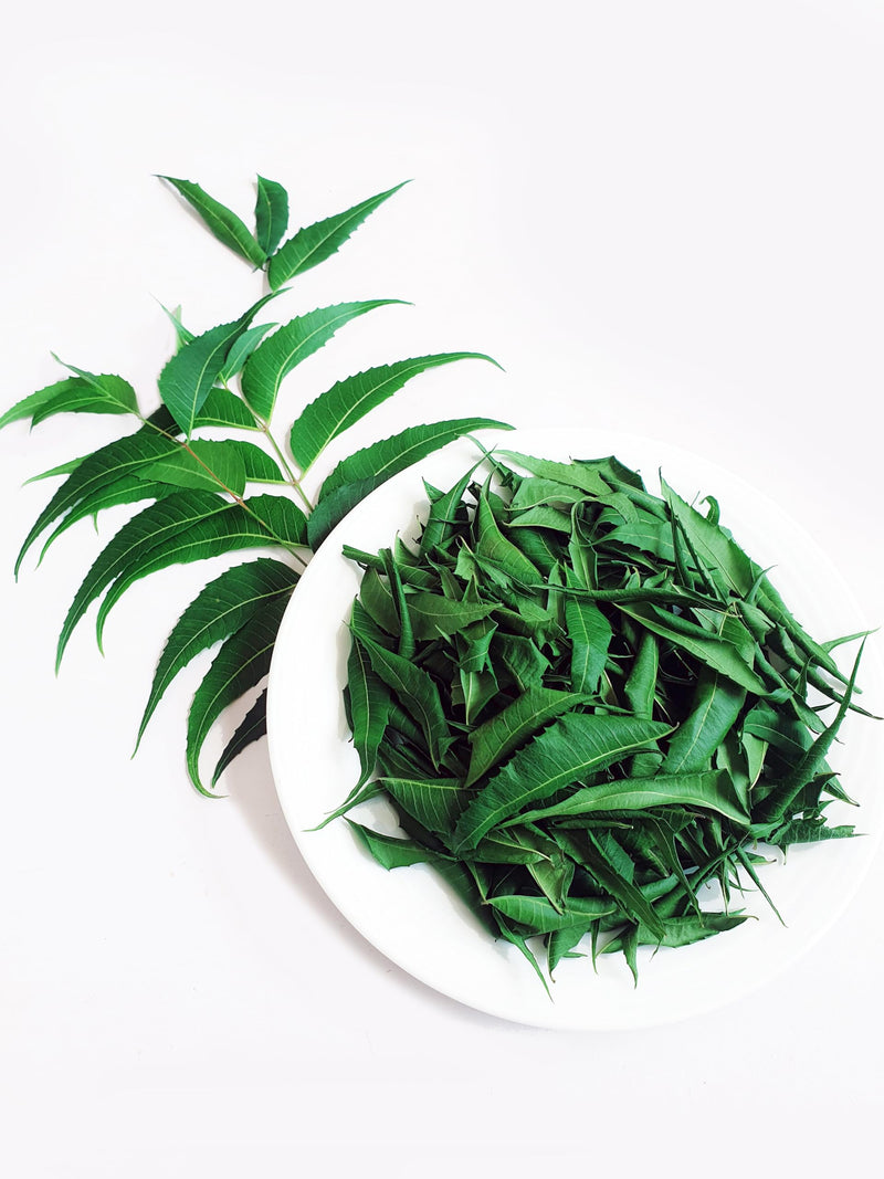 [Australia] - Ceylon Rustic Savour Dried Neem Leaves 1OZ Naturally Grown air dried neem leaves (28g) 