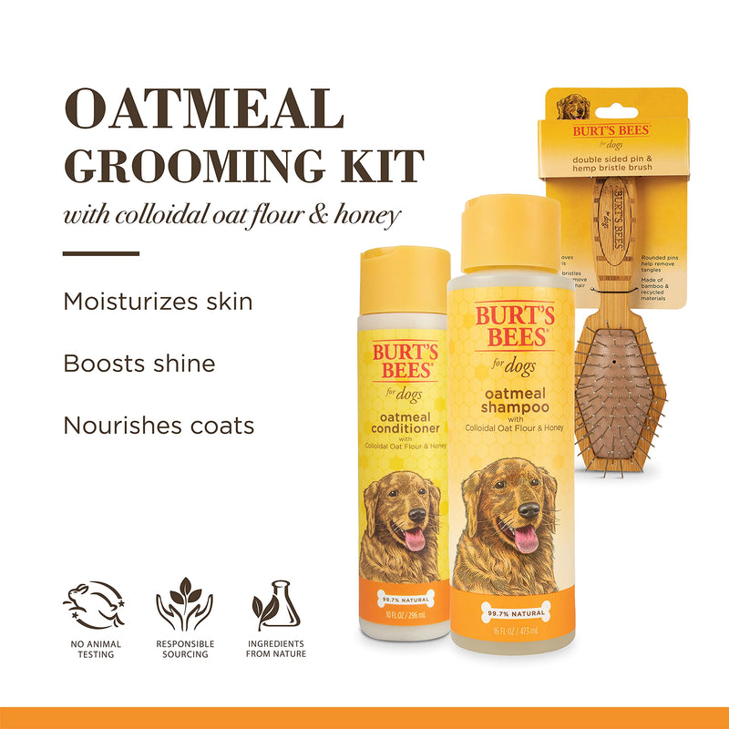 Burt's Bees Bundle Oatmeal Grooming Kit | Includes Oatmeal Dog Shampoo and Conditioner with Colloidal Oat Flour and Honey, and Double Sided Pin & Bristle Brush - PawsPlanet Australia