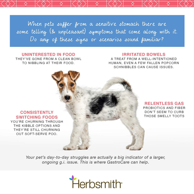 Herbsmith GastroCare - For Cats & Dogs with Sensitive Stomachs - Cat and Dog Digestive Support - Ease Canine and Feline Sensitive Stomach - 150g 150g Powder - PawsPlanet Australia