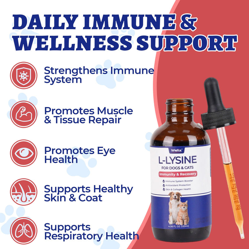 Wellix 4 fl oz Large Volume Liquid L-Lysine Drops for Cats & Dogs, Chicken | Immune & Respiratory Support with Taurine for Dogs & Cats - Sneezing, Runny Nose, Allergy Relief, Eye Care & Shiny Coat