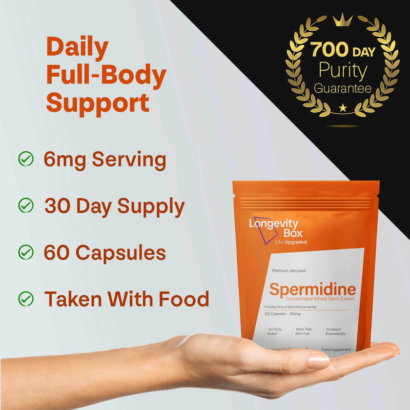 Spermidine Supplement 60 Vegan Capsules 6mg from 600mg Wheat Germ Extract with Zinc Thiamin 99% Pure Third-Party Tested Non-GMO 60 count (Pack of 1)