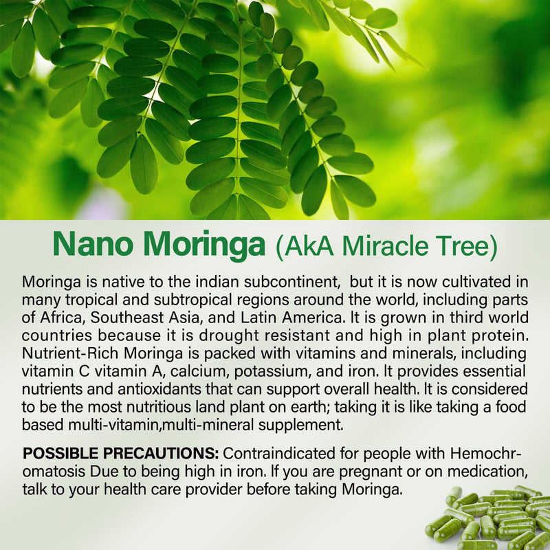 Moringa Capsules | 800mg Pure Moringa Powder Capsules – Supports Energy, Skin & Gut Health, Immune System – Green Superfood with Vitamins & Amino Acids (90 Caps) 90 Count (Pack of 1)