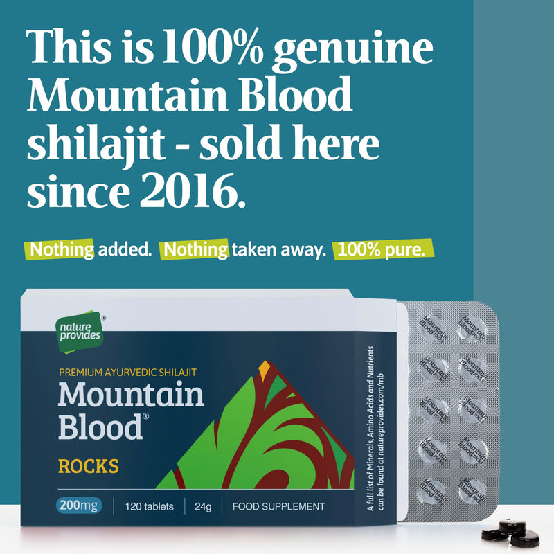 Mountain Blood 120 Shilajit Tablets Pills (24g) 4 Months Supply - Authentic, Vegan, Ethically Sourced, Mineral-Rich, UK Lab-Tested, Boosts Energy & Stamina, Made in UK by Nature Provides 24g 120 count (Pack of 1)