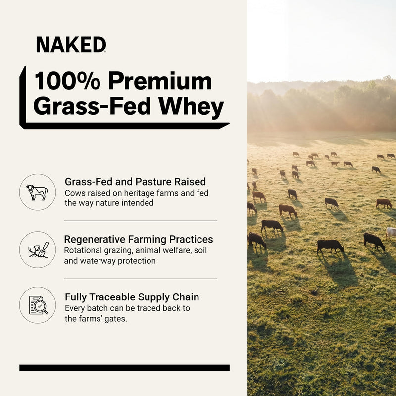 Naked Whey Protein Powder, Only 1 Ingredient, Grass Fed, Gluten Free, Soy Free, GMO Free, 25g Protein and 6g BCAAs per Scoop, Unflavoured, 12 Servings, 450g 450g (Pack of 1)