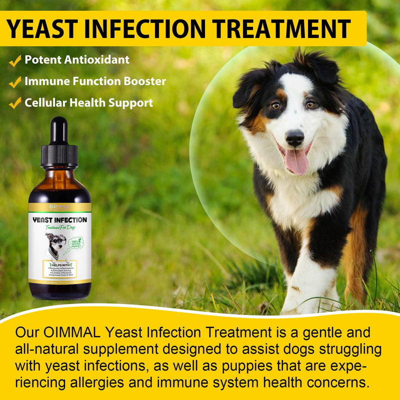 ALIVO Yeast Infection Treatment for Dogs, Natural Yeast Infection Treatment Supports Dog Itch Relief, Dog Ear Infection, Dog Allergy Relief, Pet Supplies Dog Herbal Supplement, Bacon Flavor - 2 oz 2 Fl Oz - PawsPlanet Australia