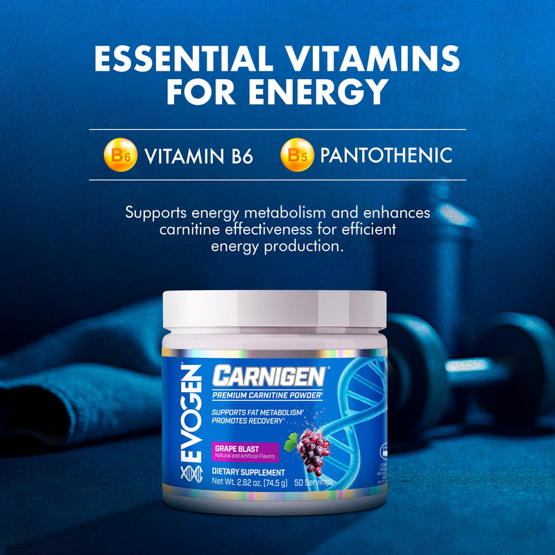 [Australia] - Evogen Carnigen - Premium Carnitine Powder | Supports Fat Metabolism & Promotes Recovery | Stimulant-Free L Carnitine Supplement Matrix with Acetyl L-Carnitine | Grape | 50 Servings 