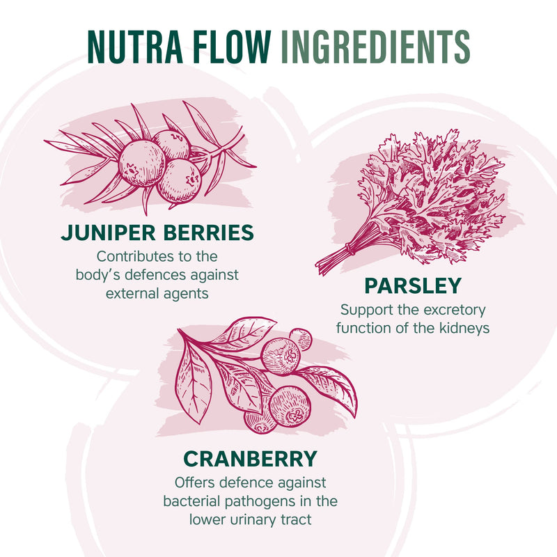 NUTRAFLOW - UTI Vitamin | Urinary Infection Vitamin - 30 Tablets | Ease Discomfort Within The Urinary Tract - Includes Cranberry, Juniper Berries, Acerola & Vitamin C - by NutraVit