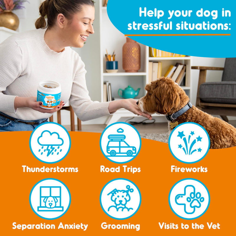 Inner Paw Calming Chews for Dogs – Natural Calming Dog Treats – Tasty Chew Snacks with Chamomile, Valerian Root, Organic Ginger – Efficient Dog Stress Reliever – 120 Soft Chews - PawsPlanet Australia