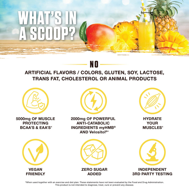 [Australia] - Ambrosia Hydroglyph Intraworkout Formula w/BCAA + EAA + Electrolytes Hydration Powder to Protect Lean Muscle, 0g Sugar Fasting Hydration Drink Mix, Made w/Coconut Water (Pineapple Mango) Pineapple Mango 
