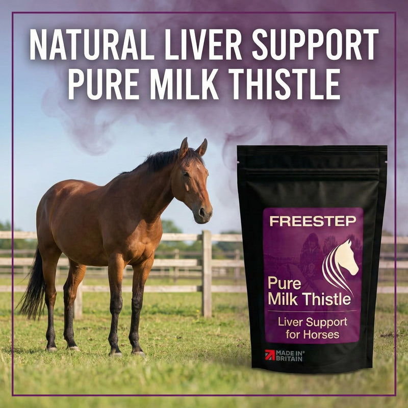 Pure Milk Thistle for Horses | Pure Ground Milk Thistle Powder for Liver Support, Detox and Recovery | Natural Horse Supplement for Performance and Metabolism 500g | 4 Month Supply