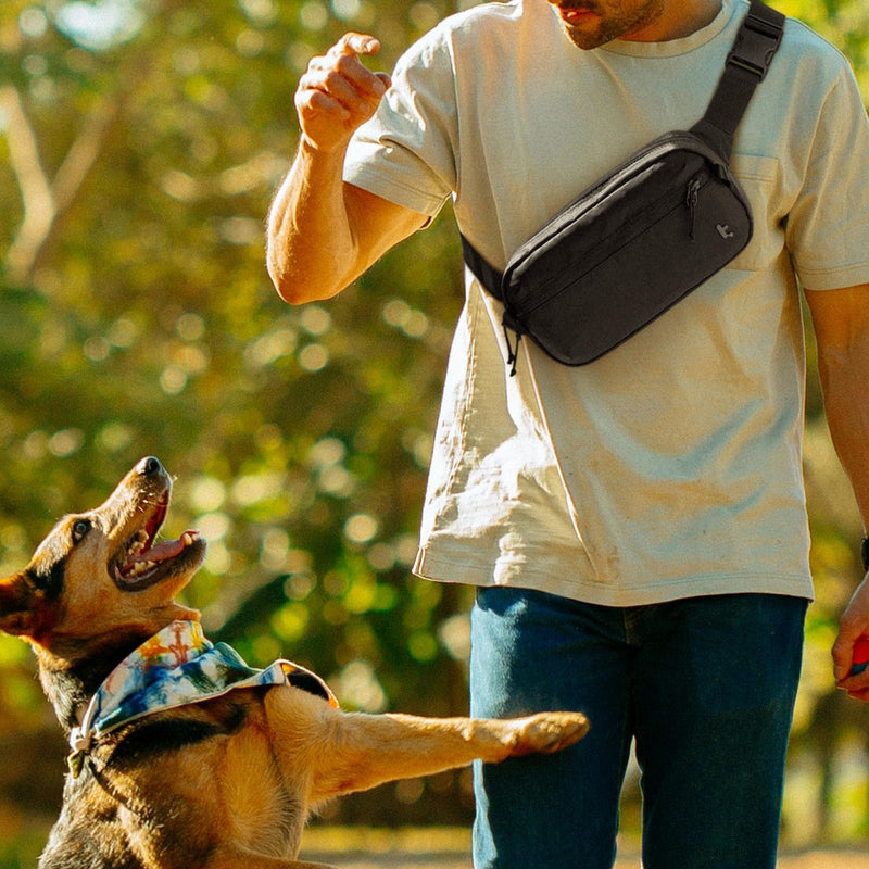 tomtoc 3.5L Sling Bag with RFID Blocking Crossbody Chest Pack for Men Women | EDC Minimalist Shoulder Bag, Water-resistant Lightweight Carrying Waist Fanny Pack for Travel, Daily Commute, Hiking, Walking Black