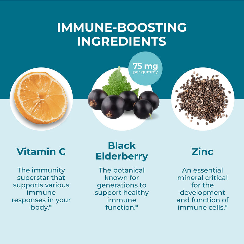 [Australia] - Hyland's Kids Organic Elderberry Plus Gummies, Organic Black Elderberry with ZINC and Vitamin C, Immune Support for Children, 48 Vegan Gummies Kids - 48 Count 