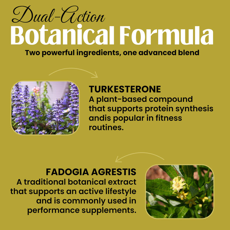 Turkesterone + Fadogia Agrestis | Super Mix | Maximum Strength Supplement | Strength, Performance & Power | 100% Natural Non-GMO Vegan | 60 Capsules (Pack of 4) 60 count (Pack of 4)