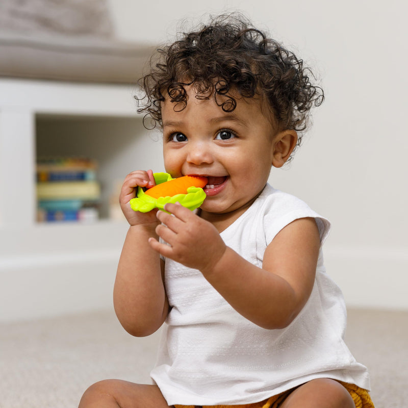 [Australia] - Infantino Lil' Nibbles Textured Silicone Baby Teether - Sensory Exploration and Teething Relief with Easy to Hold Handles, Orange Carrot, 0+ Months 
