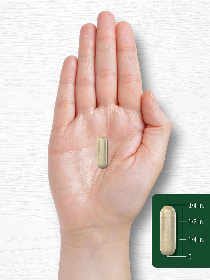 [Australia] - Carlyle Ginseng Extract Supplement | 120 Capsules | 1200mg | Pills for Men & Women | Non-GMO and Gluten Free 