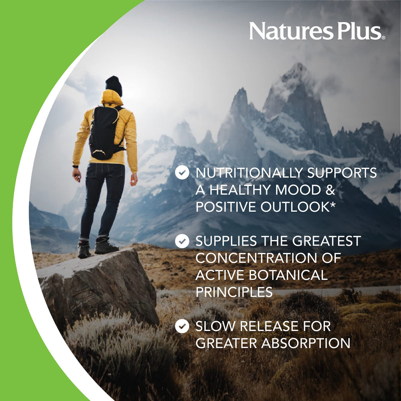 [Australia] - Natures Plus Herbal Actives St. John’s Wort Extended Release - 60 Tablets, Pack of 2 - Supports a Healthy Mood & Positive Outlook - Vegetarian, Gluten Free - 120 Total Servings 