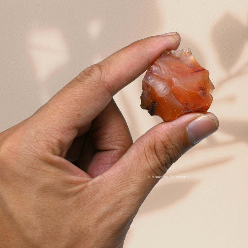 [Australia] - 2 Pieces Carnelian Raw Crystals and Healing Stones, Natural Rocks for Tumbling and DIY Raw Stones and Crystals 2 Pieces 