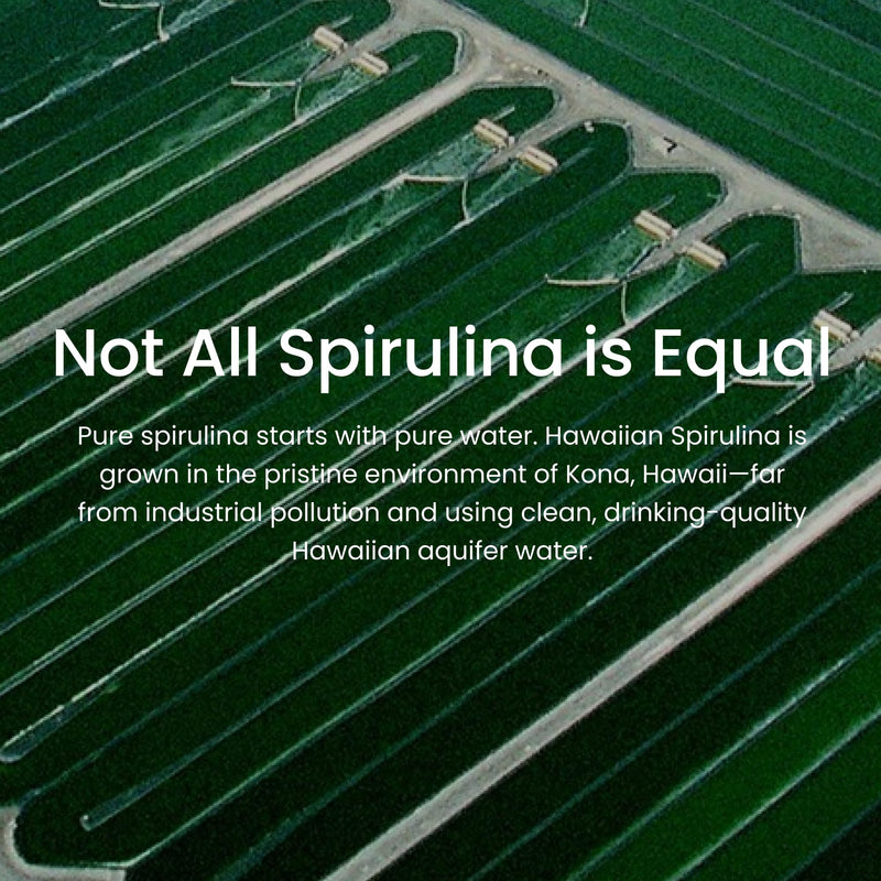 Nutrex Hawaii Spirulina – Pure Hawaiian Spirulina Tablets with Natural Protein and Iron, Nutrient-Rich Microalgae. 200 Vegan Tablets with 500 mg spirulina