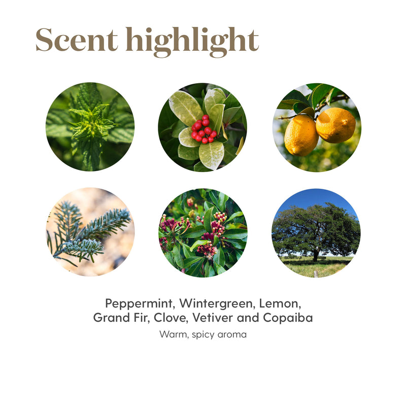 [Australia] - Young Living Deep Relief Roll-On | 10 ml | Cooling Essential Oil Blend for Topical Use | Compact & Travel-Friendly 