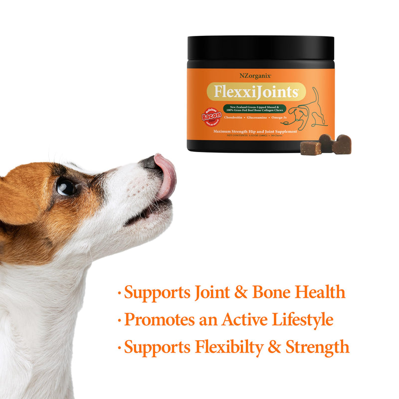 NZorganix FlexxiJoints Hip and Joint Supplement Chews for Dogs, Cats • 100% Grass-Fed Beef Bone Collagen New Zealand Green-Lipped Mussels • 50 Chews - PawsPlanet Australia