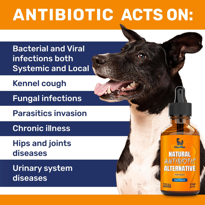 Natural Antibiotics for Dogs for Allergies, Infections, Coughs, Digestive Moments – Dog Antibiotics with Beef Flavor May Support Urination and Breathing – Organic Composition with Cranberry – 2 Oz - PawsPlanet Australia