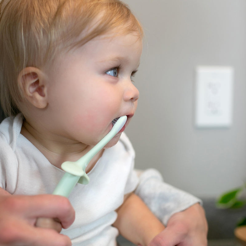 [Australia] - Dr. Brown's Infant-to-Toddler Training Toothbrush Set, Mint Elephant with Fluoride-Free Strawberry Baby Toothpaste, 0-3 Years 