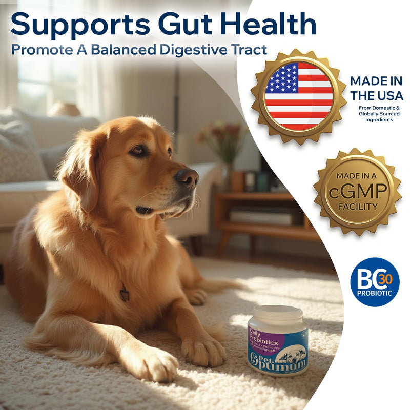 Dog Probiotics for Yeast, Itchy Skin and Itchy Ears, Allergies, Immunity - Prebiotic & Digestive Enzymes (Gut Health) with Probiotics for Dogs, Reduce Diarrhea, Constipation & Gas Relief - 90 Chews - PawsPlanet Australia