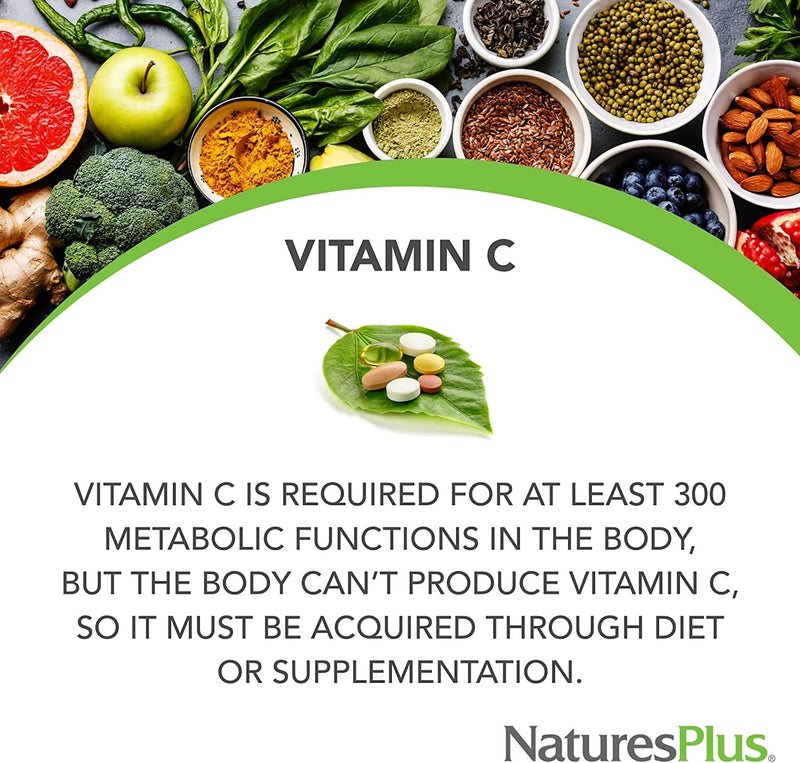 NaturesPlus Immune Chewable Vitamin C 500mg - Tasty Citrus Flavour - Gentle, Natural Vitamin C Tablets with Bioflavonoids - Immune Support - Vegan, Gluten Free - 60 Chewables