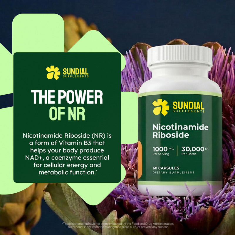 Nicotinamide Riboside (NR) 1000mg | Vitamin B3 Derivative | Single Ingredient | 60 Vegan Capsules | Clean Label | Unflavored | 30-Day Supply