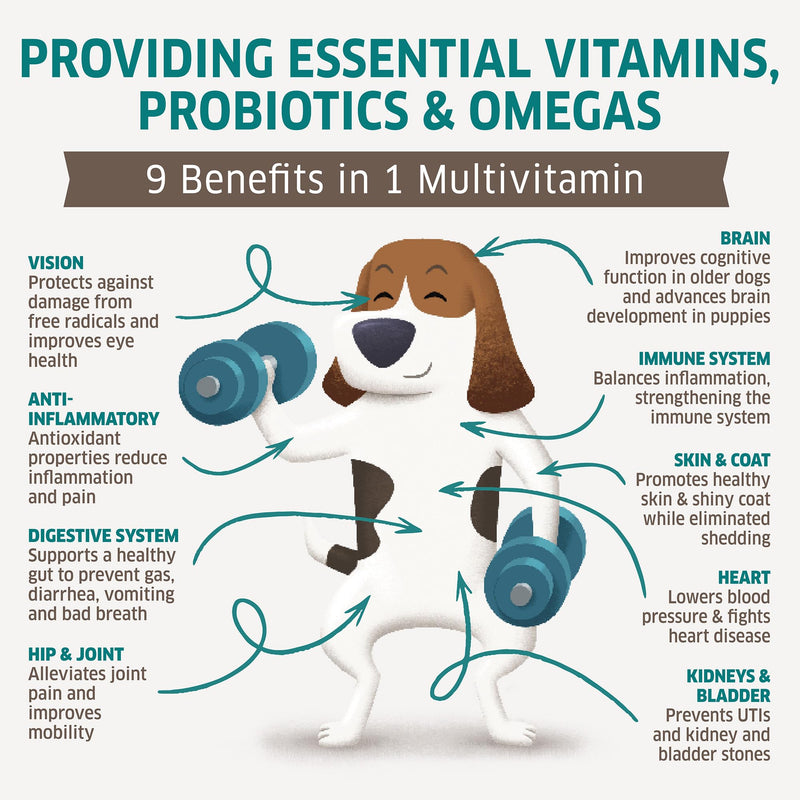Dog Multivitamin - Dog Vitamins and Supplements - Digestive Enzymes & Probiotics - Probiotics for Dogs - for Skin and Coat Allergies - Immune System & Overall Health - 120 Soft Chew Dog Treats - PawsPlanet Australia
