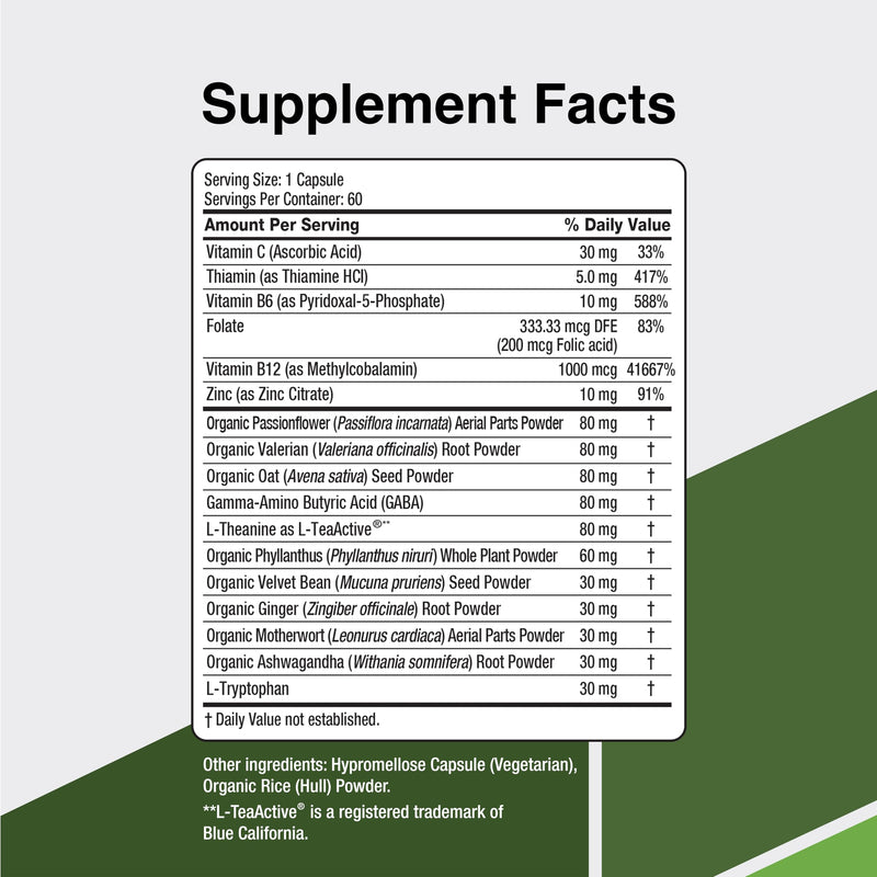 CalmSupport: Stress & Relaxation Support - Ashwagandha, Passion Flower, Valerian Root, Ginger, GABA, Velvet Bean, Motherwort, Oat Seed, L-Theanine, L-Tryptophan, Folate, C,B1,B6,B12,Zinc - 60 Capsules