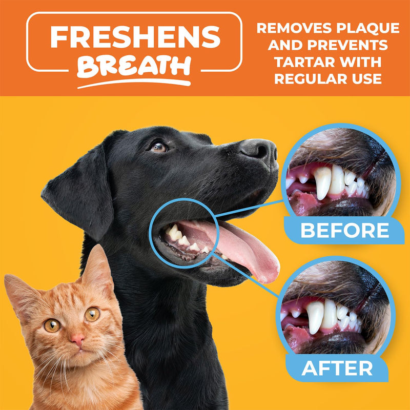 Dog Teeth Cleaning Wipes - Dental Finger Wipes for Cats & Dogs - Pet Toothbrush & Tooth Brushing Kit - Effective Teeth Cleaner - PawsPlanet Australia