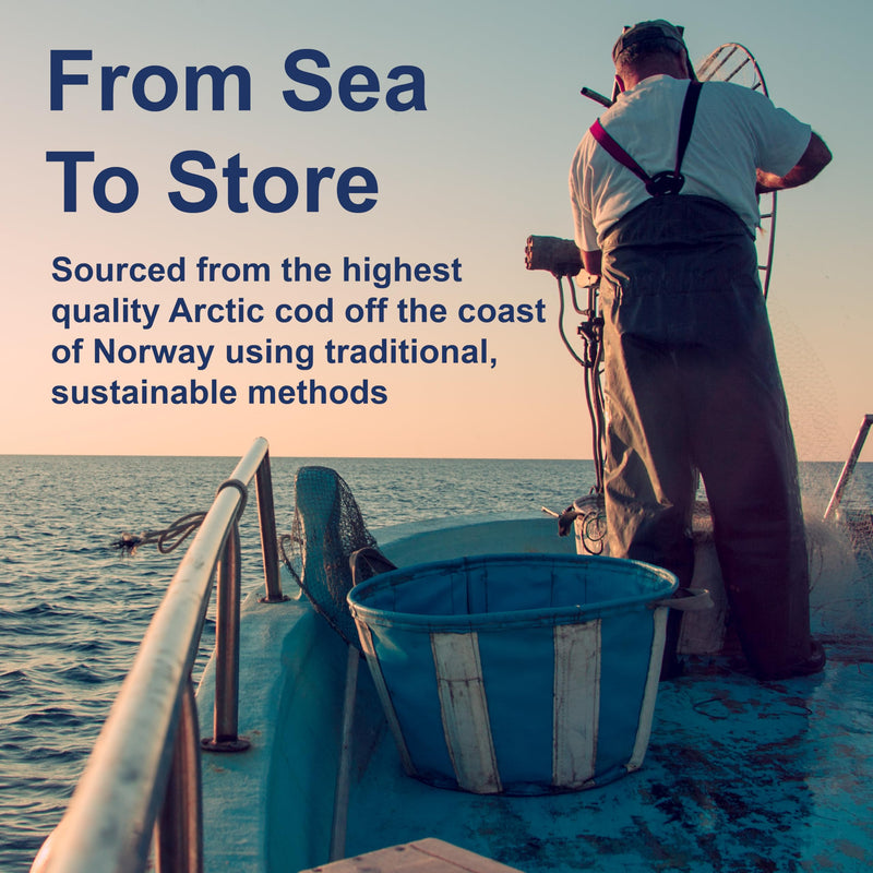 [Australia] - Carlson - The Very Finest Fish Oil, 1600 mg Omega-3s, Liquid Fish Oil Supplement, Norwegian Fish Oil, Wild-Caught, Sustainably Sourced Fish Oil Liquid, Lemon, 200ml, 6.7 Fl Oz 6.7 Fl Oz (Pack of 1) 