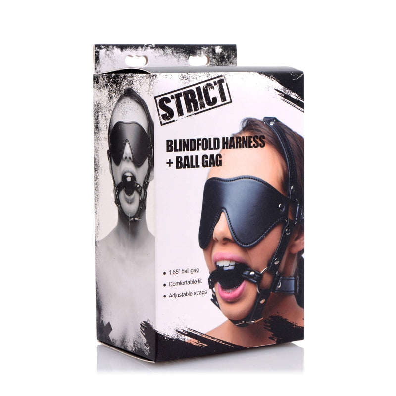 [Australia] - Blindfold Harness and Ball Gag 