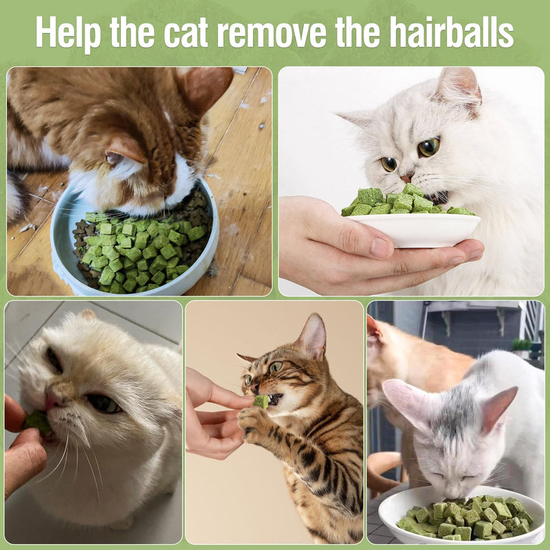60g/2.12oz Cat Grass Teething Toy Hairballs,Chew Treats for Cats,Edible Cat Chew Toys,Natural for Cats,Teeth Cleaning and Hairball Removal - PawsPlanet Australia