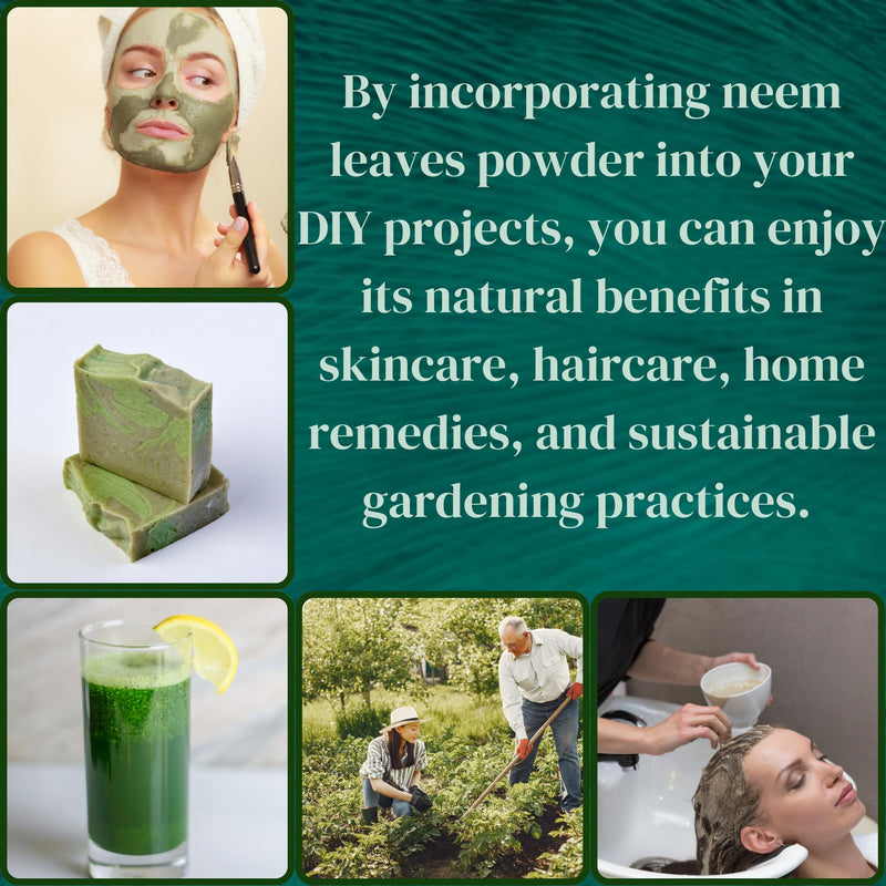 [Australia] - Neem Powder 100% Pure Natural Leaf Powder for Hair, Skin & DIY Uses Finely Ground & Additive Free Natural Supplement in Resealable Pack ‚Äì 2 oz 