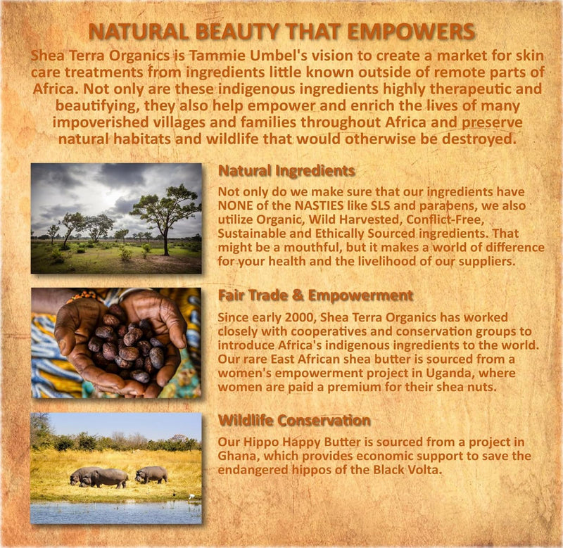 Shea Terra Organics - Cold-Pressed Virgin Shea Butter, Namibian Marula | Anti-aging marula moisturizer for dry skin, nails & hair. Softens & hydrates. Reduces the look of stretch marks & wrinkles. 6 Ounce (Pack of 1)