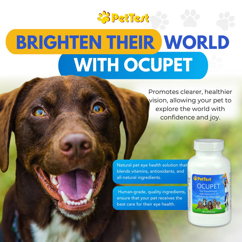 Ocupet Advanced Vision and Eye Health Supplement for Medium to Large Dogs Packed with Natural B12, Grape Seed Extract and Lutein to Support Pets with Diabetes or Eye Related Conditions-90 Capsules Medium-Large_Dogs - PawsPlanet Australia