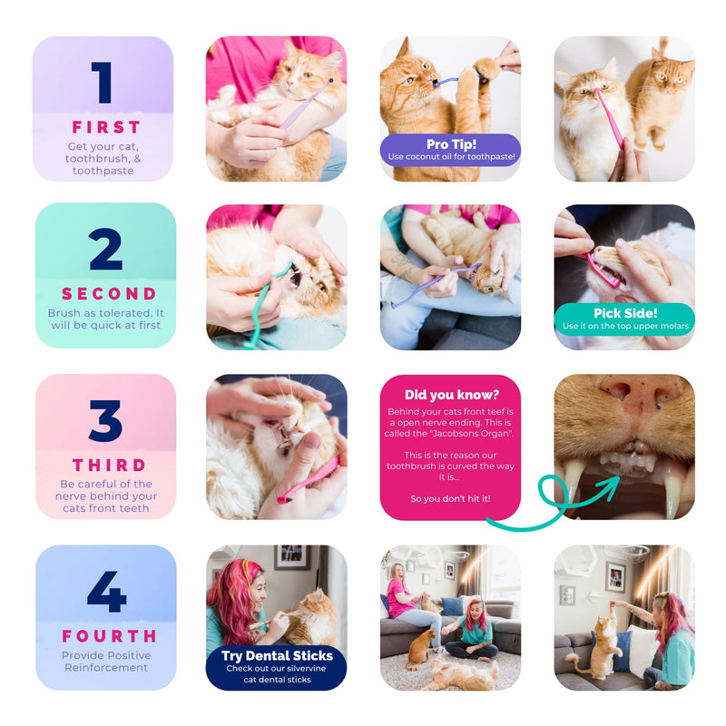 RYERCAT Dual Sided Cat Toothbrush - Kitten Toothbrush with Micro Head to fit into Cat/Kittens Mouth - Cat Dental Care Supplies - Pet Toothbrush for Cats (Ocean Blue) Ocean Blue - PawsPlanet Australia